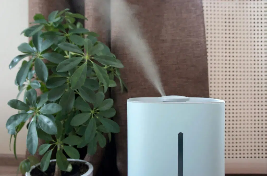 Humidifiers vs. Dehumidifiers: Understanding the Difference