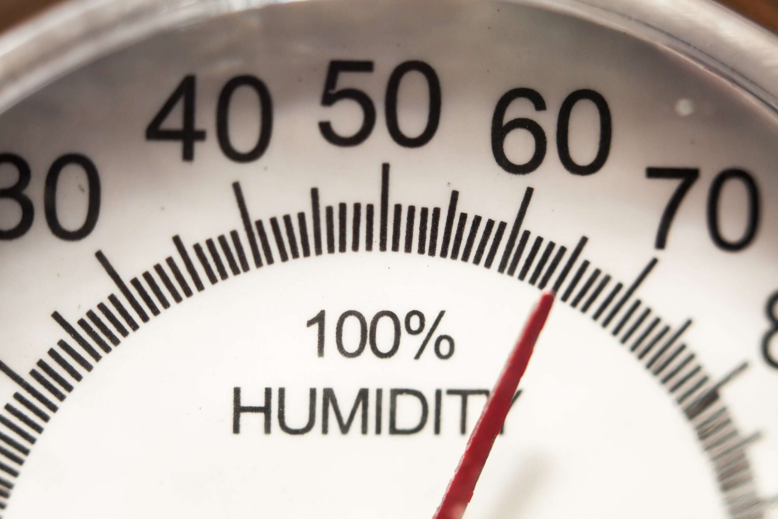 How Expert Humidity Control Protects Your Health, Comfort, and Home